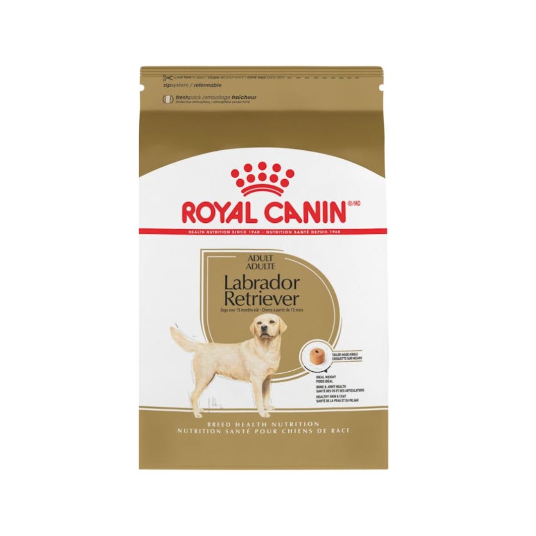 Royal-Canin-Dog-Food-for-Labrador-Retriever-Adult